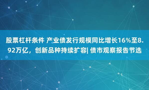 股票杠杆条件 产业债发行规模同比增长16%至8.92万亿，创新品种持续扩容| 债市观察报告节选
