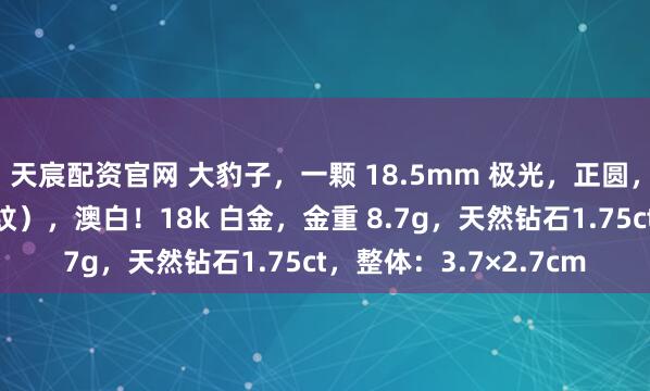 天宸配资官网 大豹子，一颗 18.5mm 极光，正圆，基本无瑕（极微微细纹），澳白！18k 白金，金重 8.7g，天然钻石1.75ct，整体：3.7×2.7cm